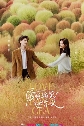 市南seo优化多少钱